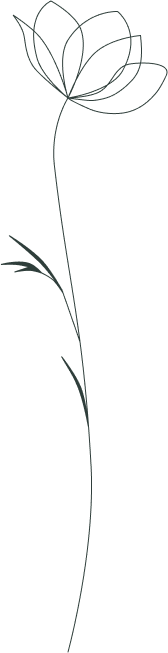 Img 07 e1753262053707